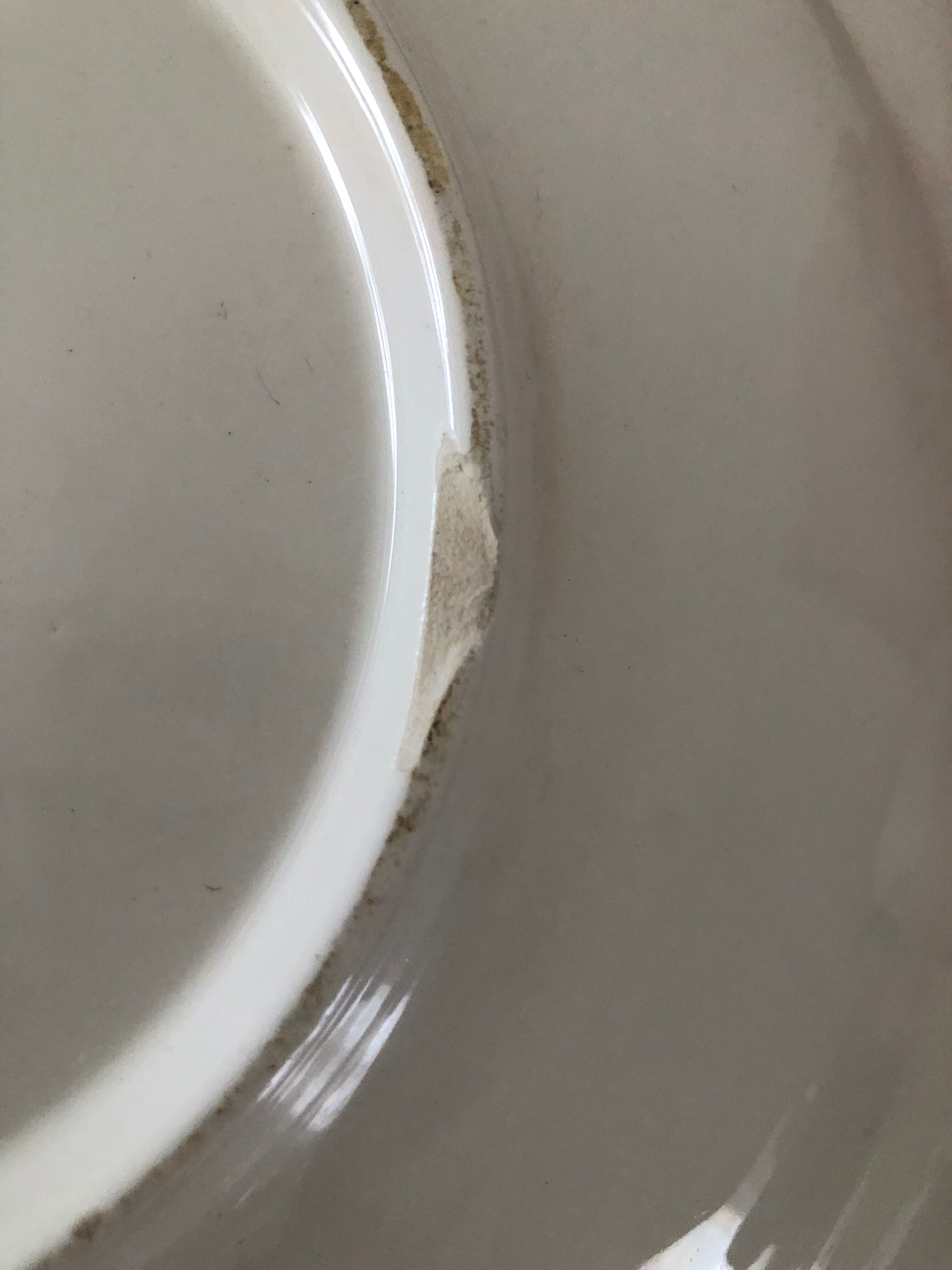 Antique earthenware dish from Luneville China Keller and Guerin 1889 "Chaillot de Vercor"