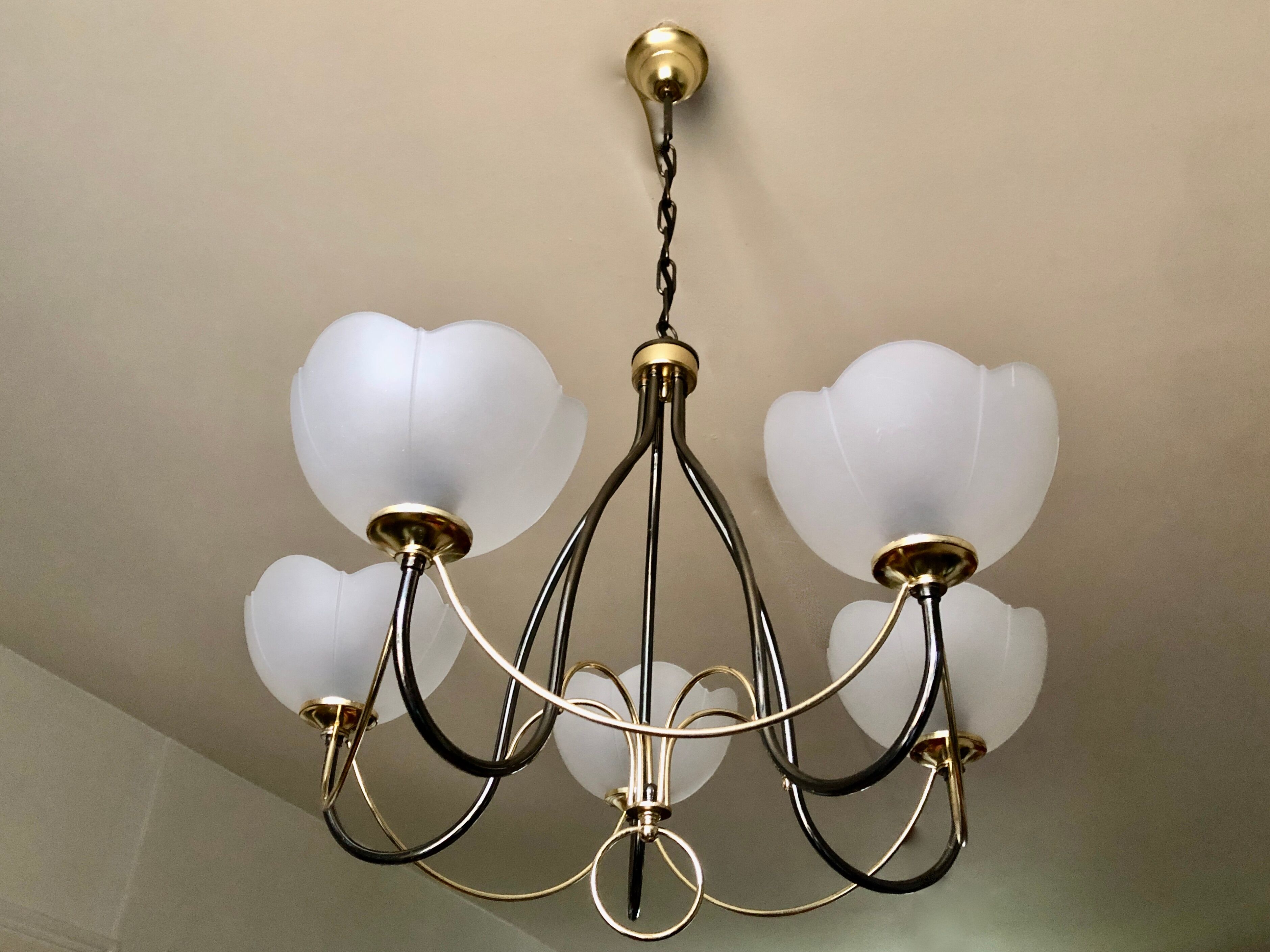 Italian chandelier gray and gold frosted glass flower