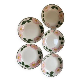 Villeroy & Boch soup plates