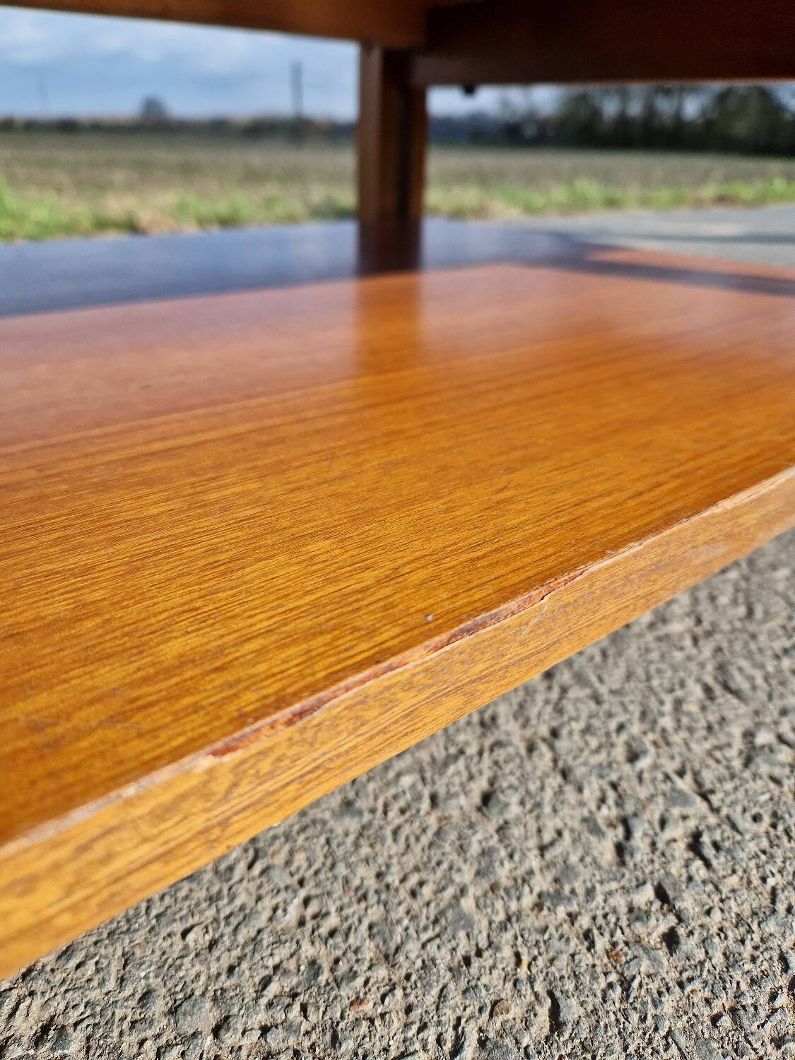 Vintage coffee table by Roger Capron, herbarium model