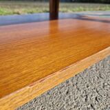 Vintage coffee table by Roger Capron, herbarium model