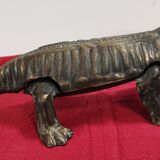 Pharmacist's corkscrew salamander