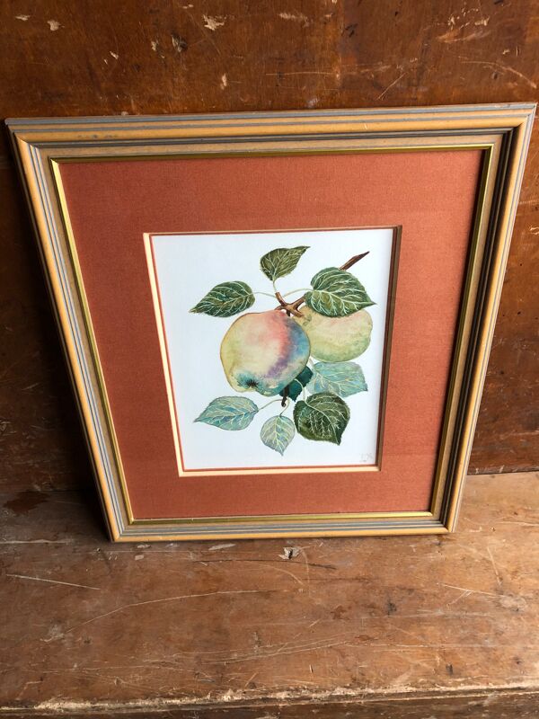 Ancienne lithographie botanique patricia kounakowitch