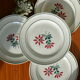 Lot de 4 assiettes plates Céranord