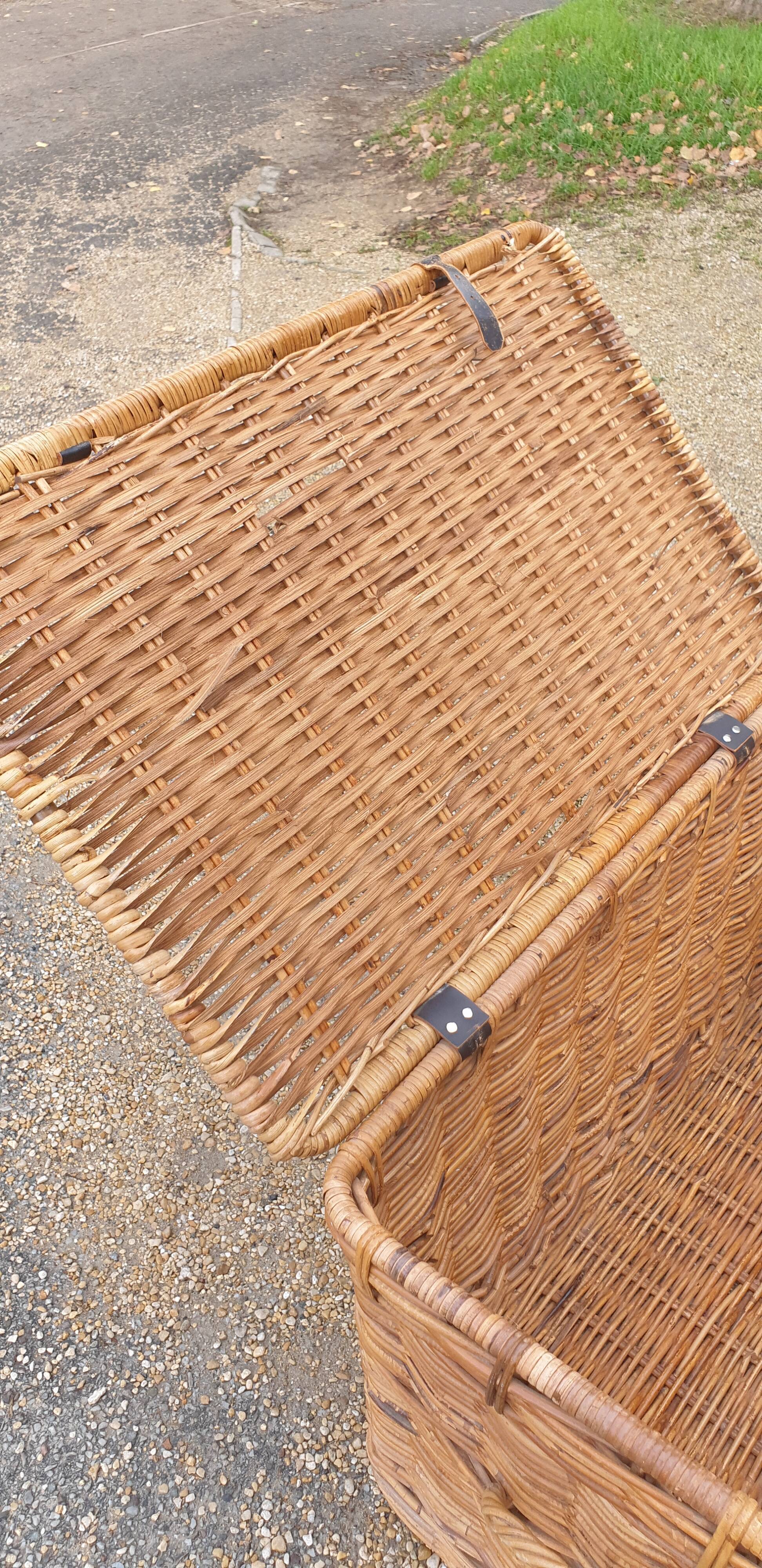 Rattan trunk