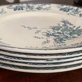 Set of 5 flat plates Longwy model azaleas Art Nouveau