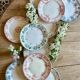 Lot de 10 assiettes plates anciennes en terre de fer dépareillées