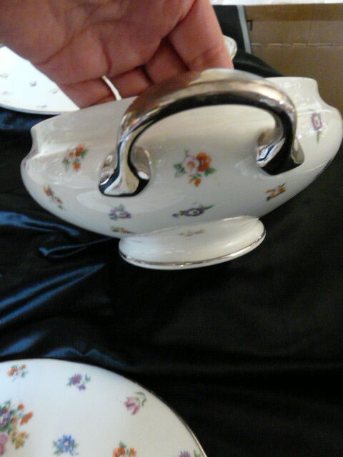 soup and porcelain dish Limoges floral decoration
