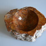 Empty pocket or ashtray in fossilized wood