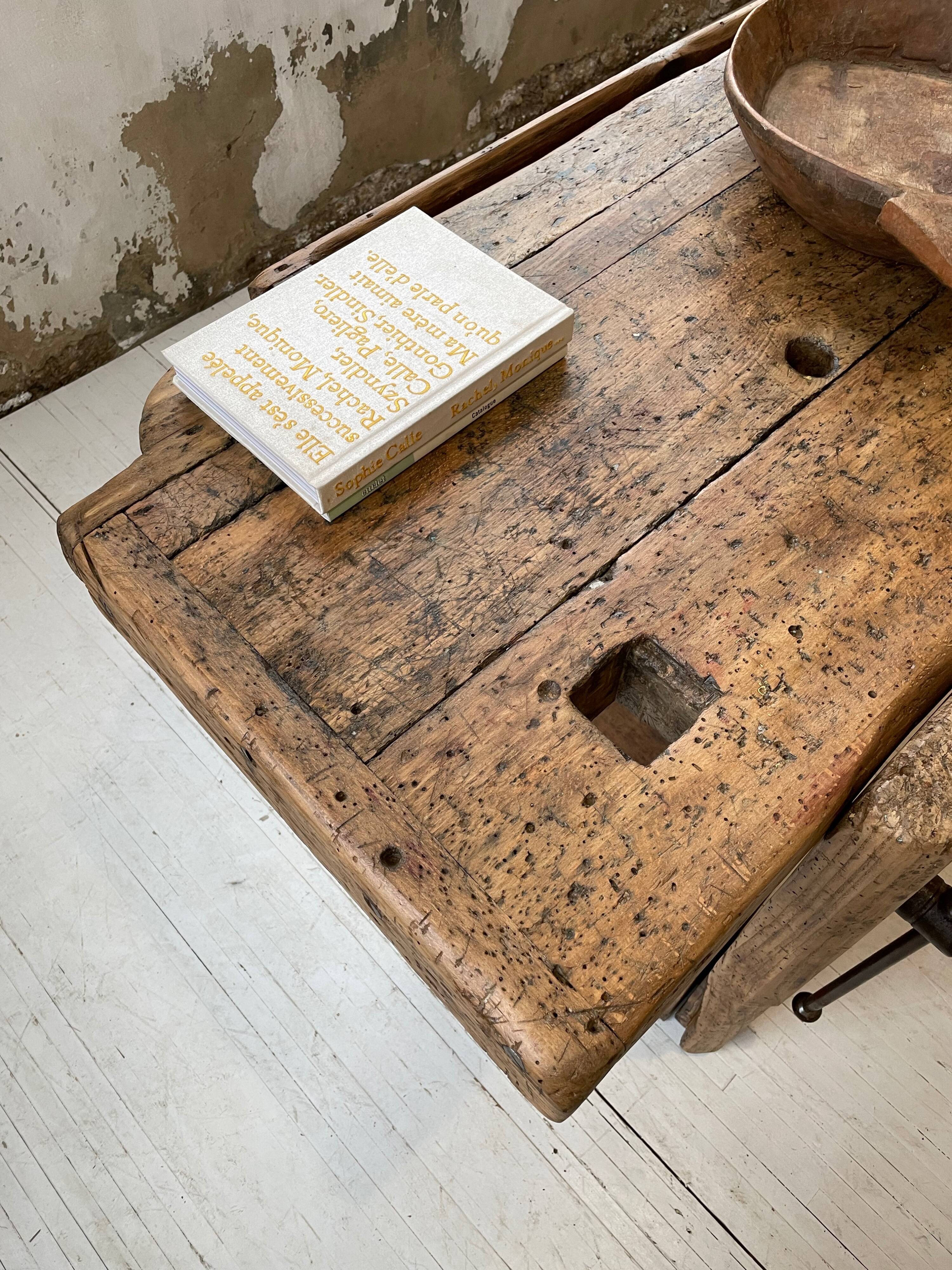 Established old oak XL