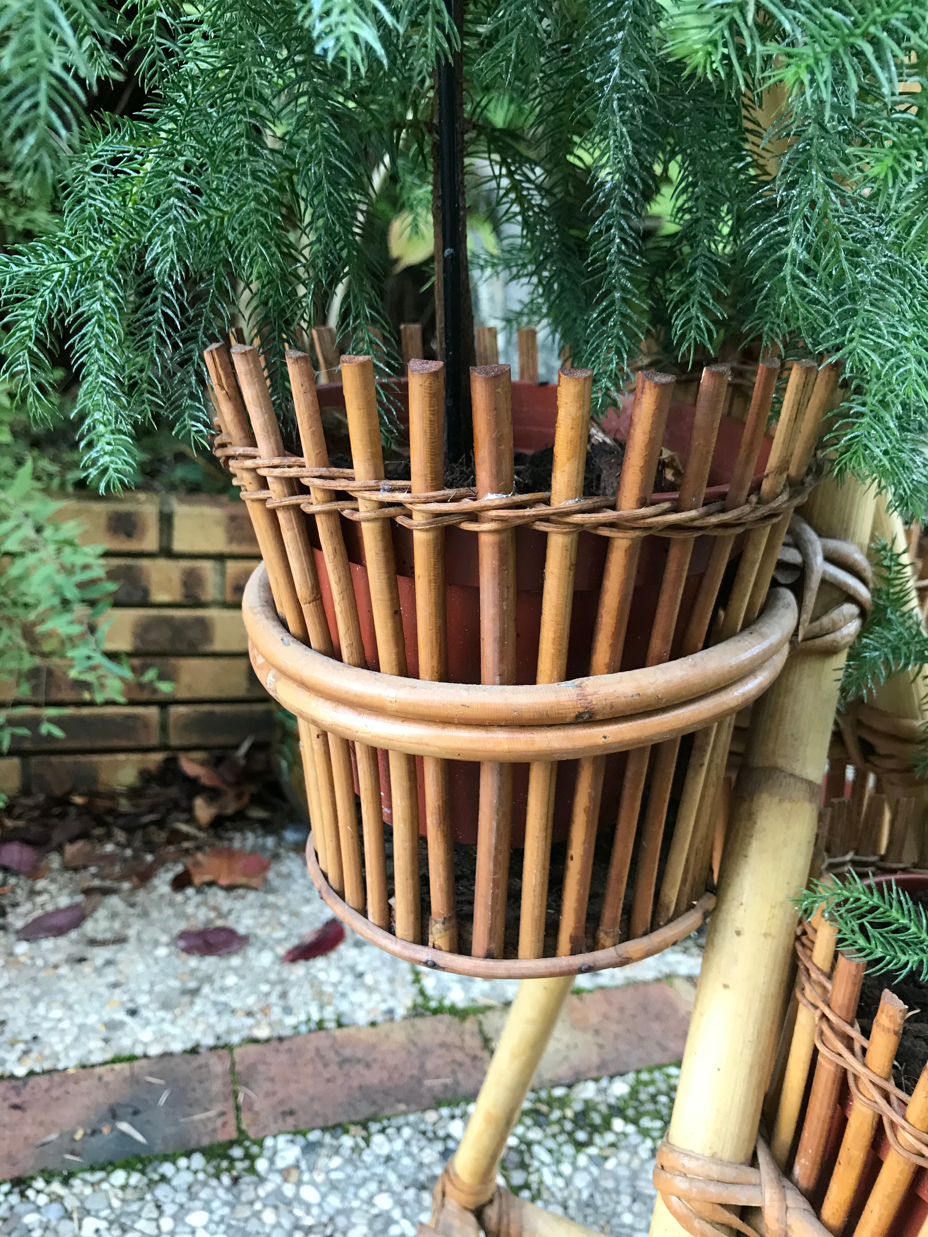 Rattan plant holder