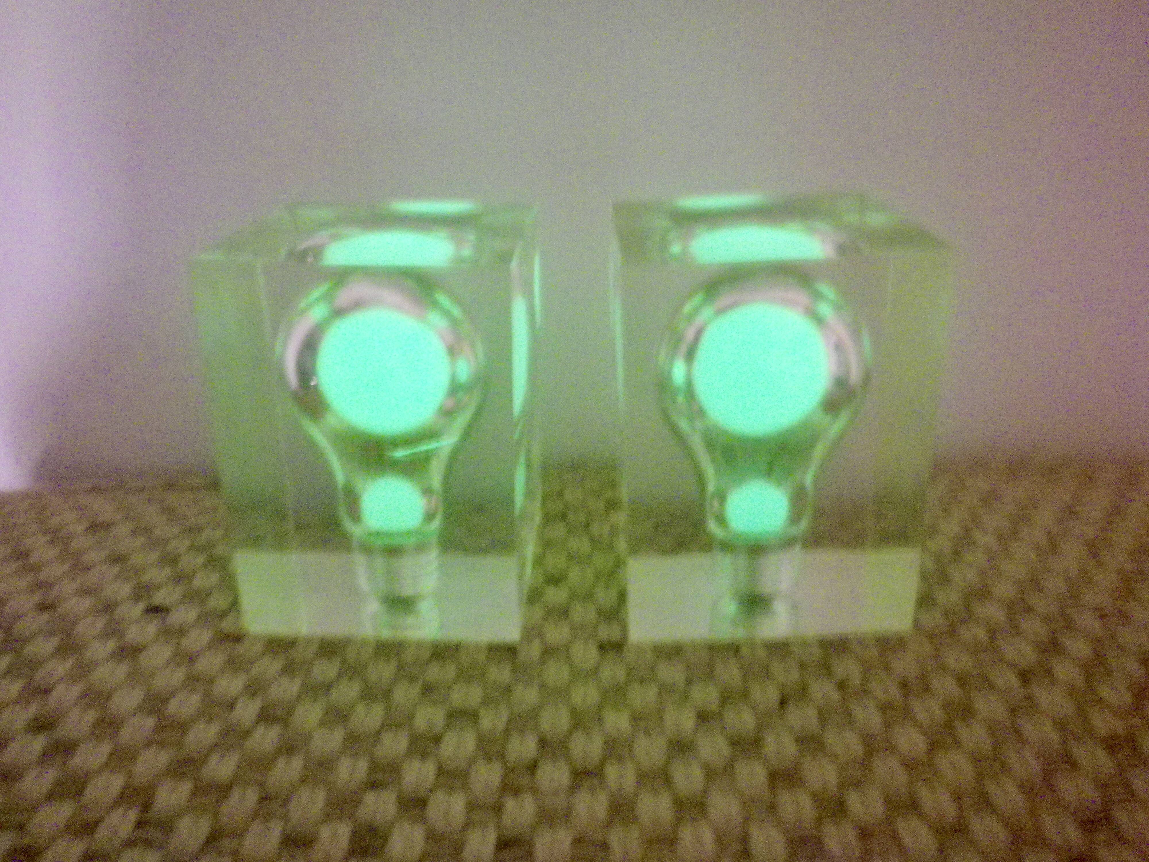 Pair of Pierre Giraudon resin inclusions bulbs