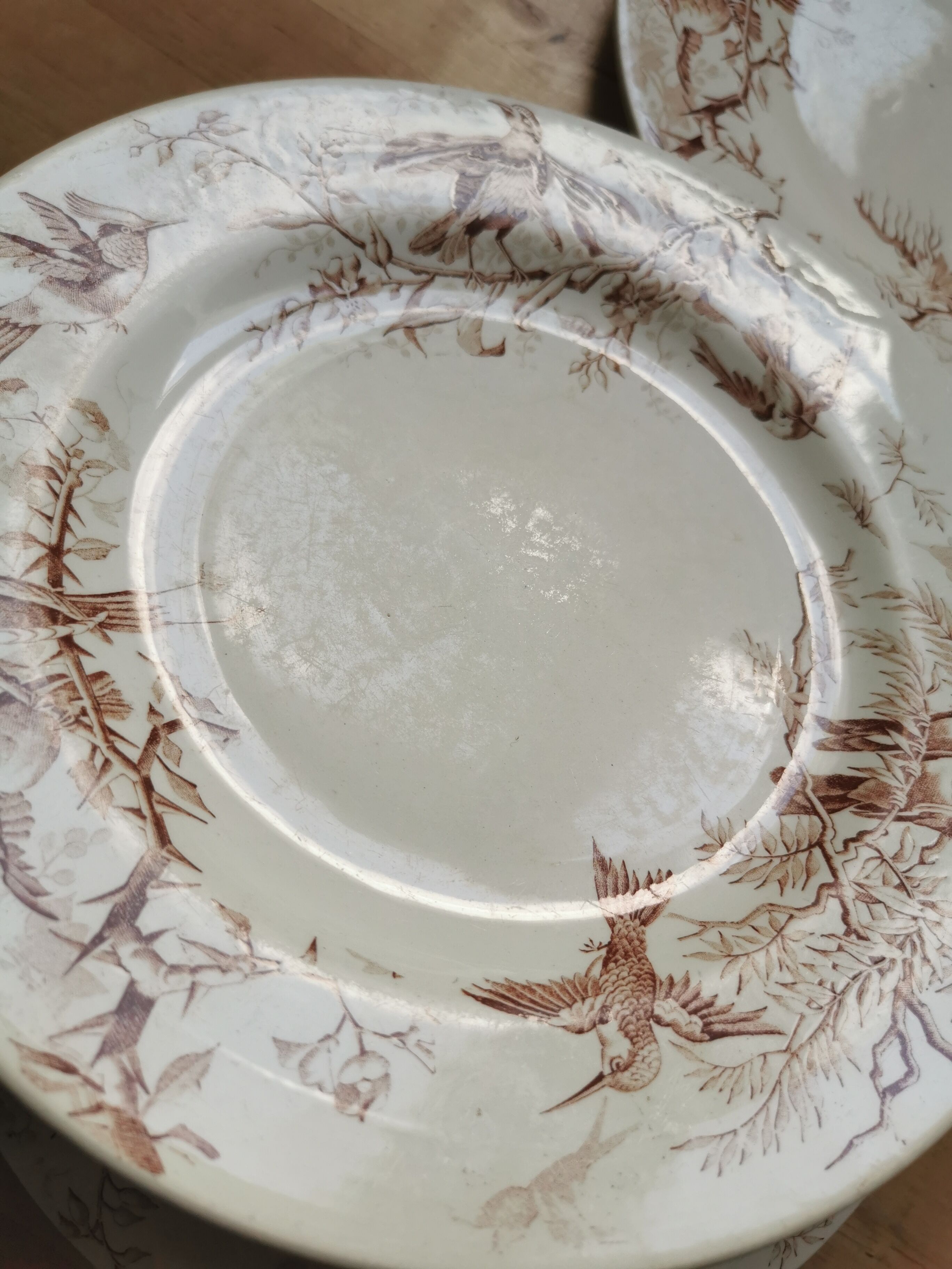 Lot of 8 Colibri luneville plates