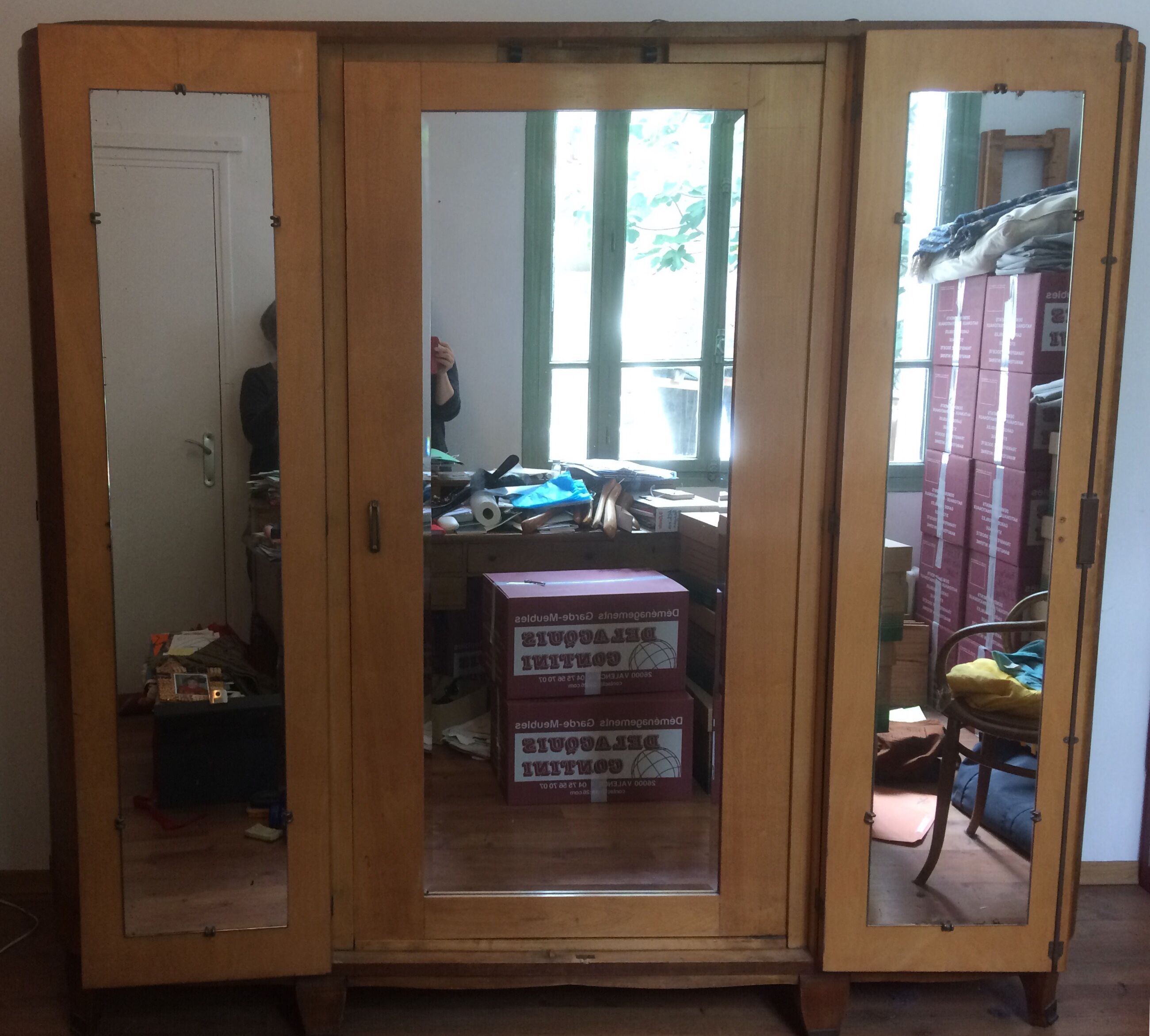 Elm magnifying glass veneer