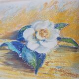 Pastel signed Robert Fily