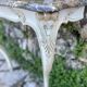 Wall console in painted, carved and molded wood in Louis XV style.