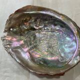 Empty shell pocket