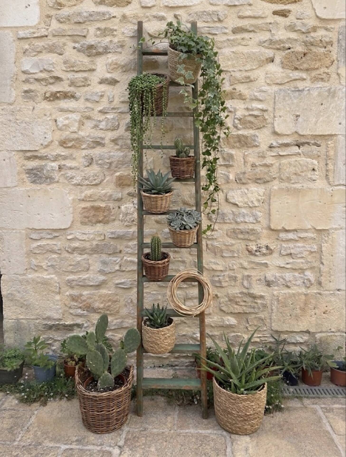 Ancienne échelle de meunier en bois