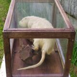 Old display case