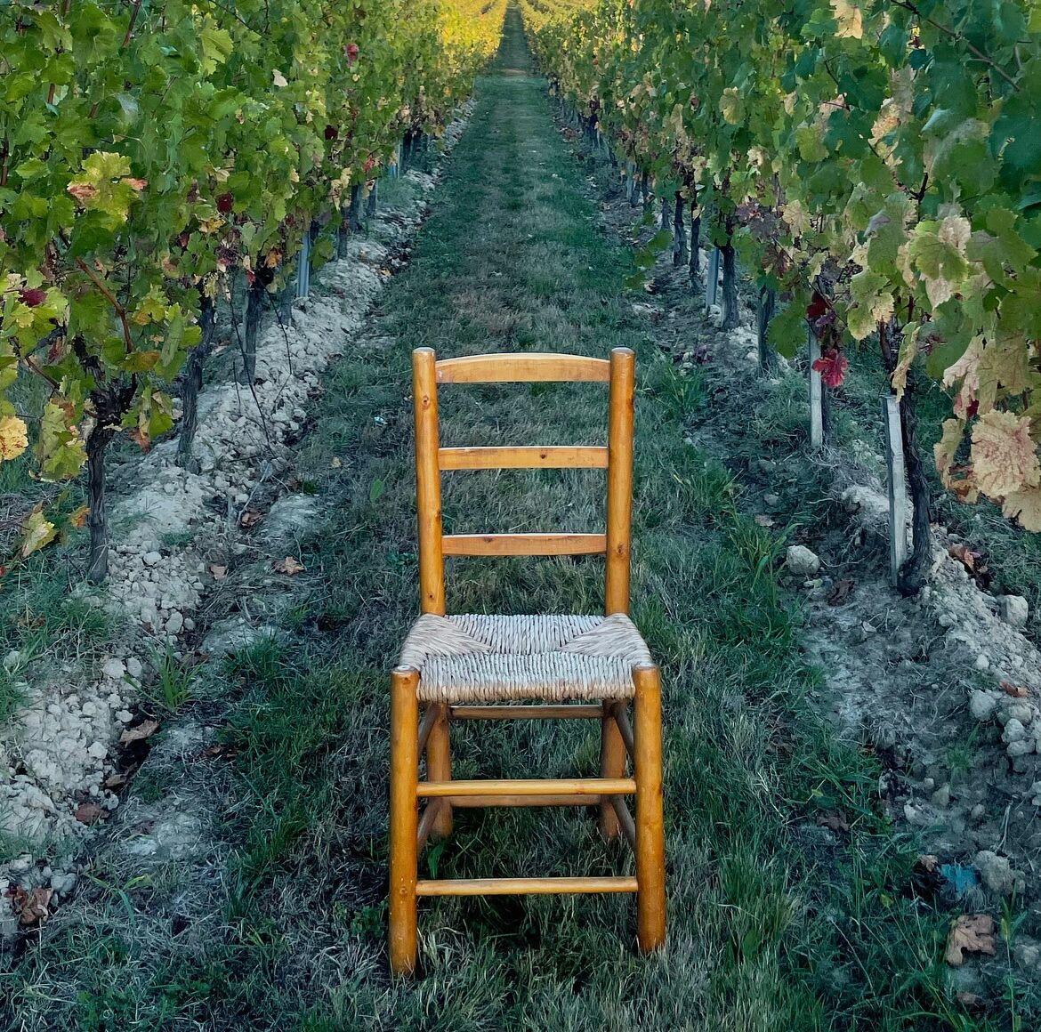 Farm chair wood and straw