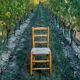 Farm chair wood and straw