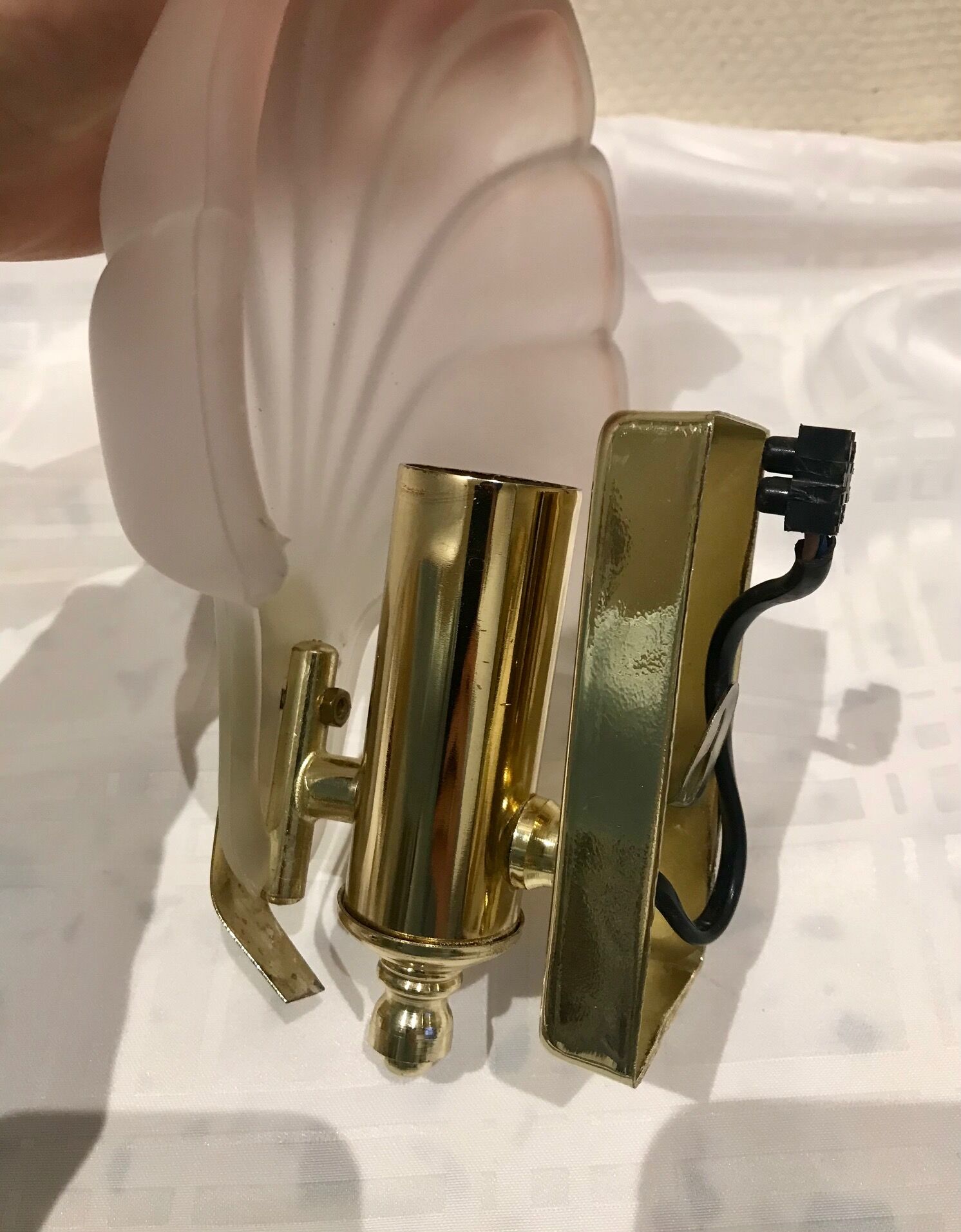 Pair of shell sconces