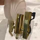 Pair of shell sconces