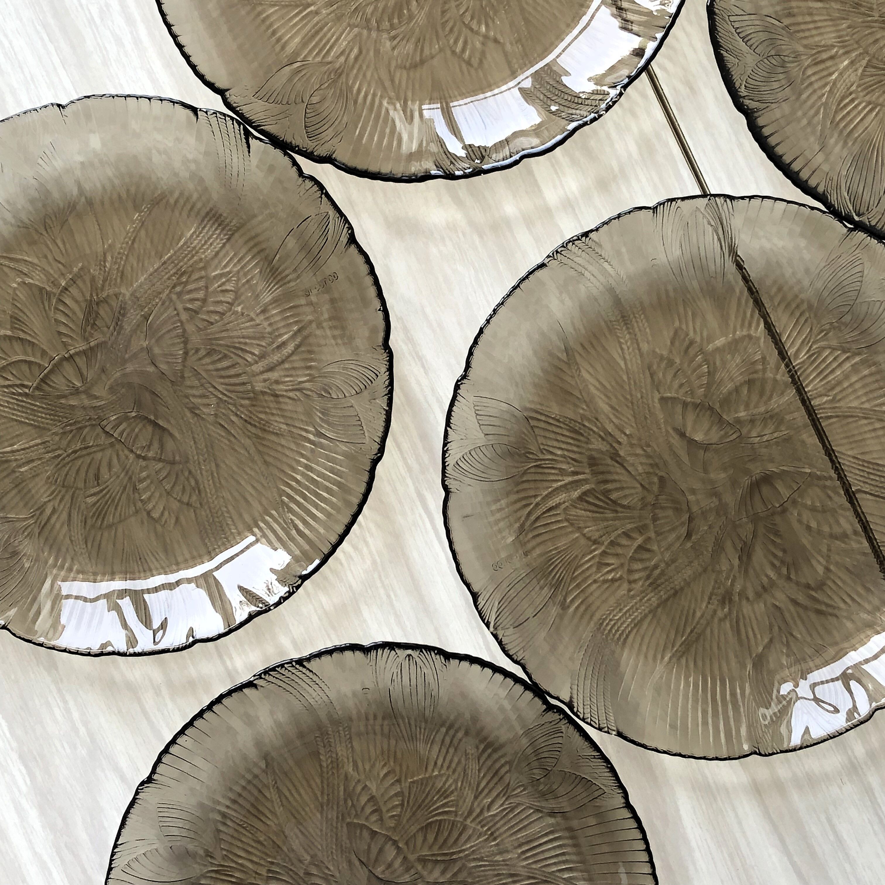 Lot 5 glass plates Arcoroc France smoked pattern flower crocus vintage CANTERBURY