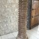 Raw wood column