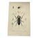Zoological Plate - Scorpion and spider - Old engraving from 1839, hand-colored