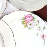 Set of 6 flat plates Digoin