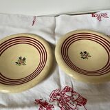 Shallow dish in earthenware from Giens