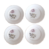 Flat plates Lunéville Badonvillier