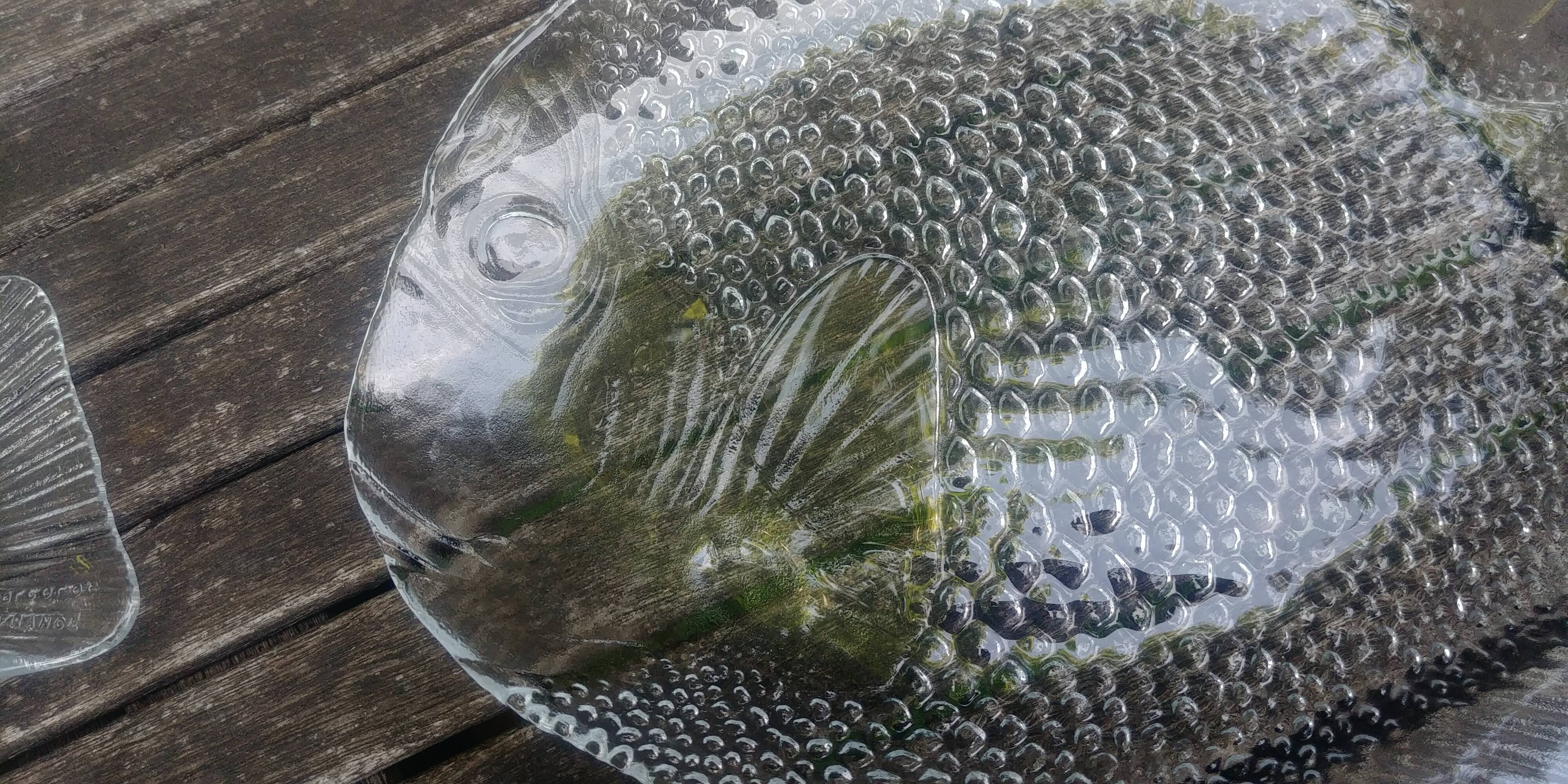 Set of twelve Arcoroc transparent glass fish-shaped dinner plates - vintage.