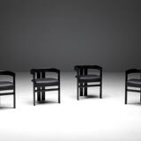 Pigreco chairs by Tobia Scarpa for Tacchini, Italy, 1960s