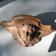 Small shelf / wooden wall lamp / Old Angelot