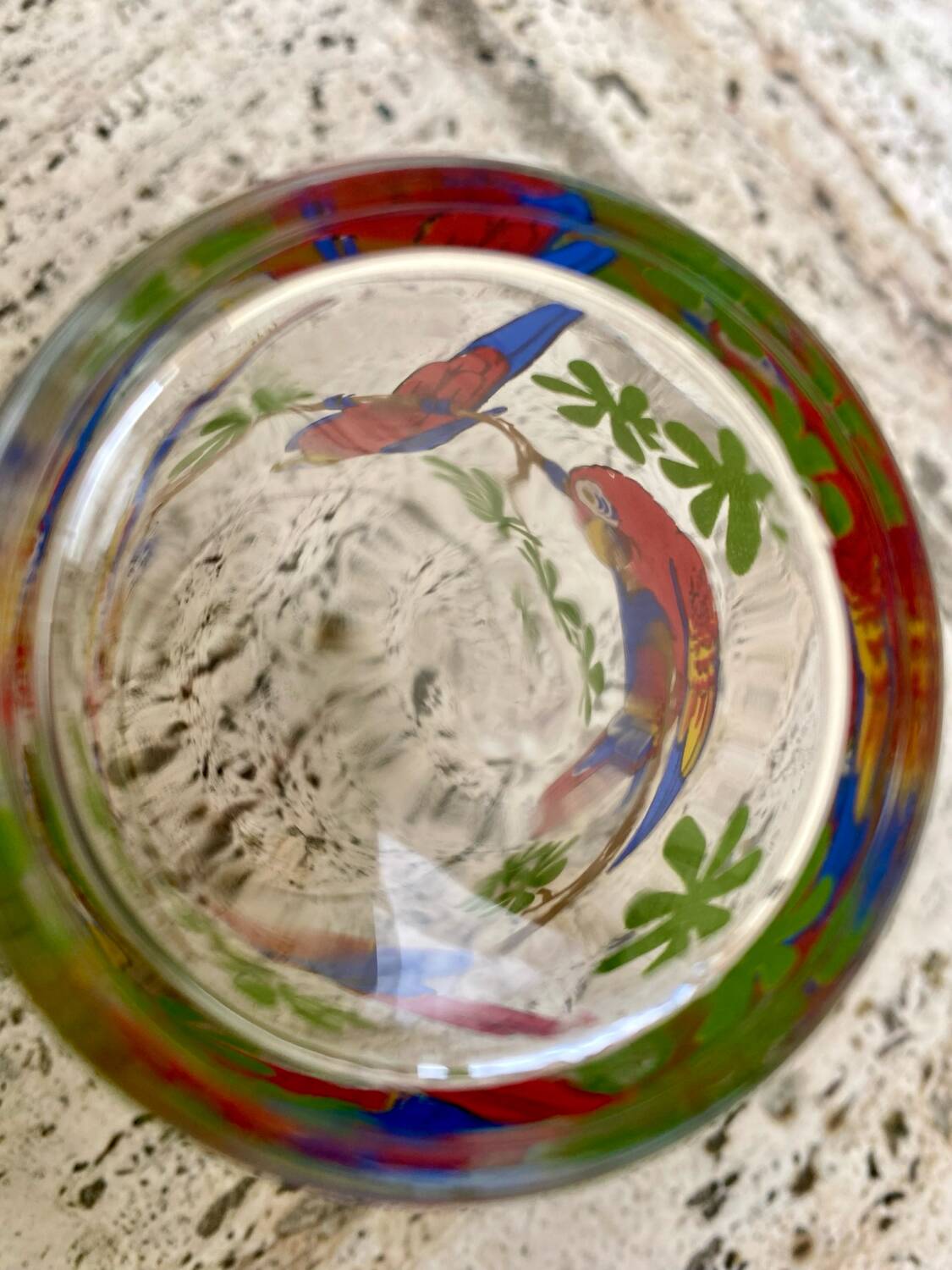 Six vintage parakeet glasses