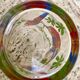 Six vintage parakeet glasses