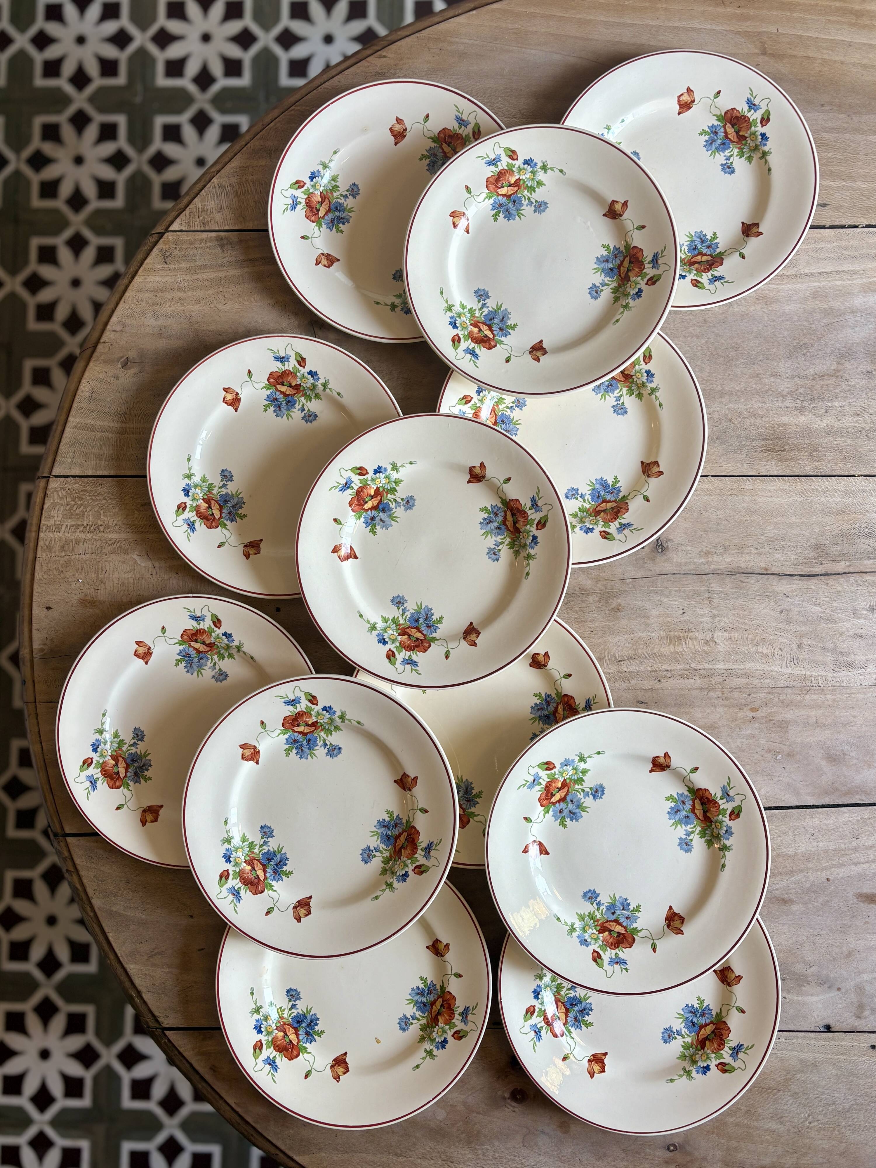 Set of 12 old flat plates with flower decorations - Salins
