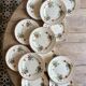 Set of 12 old flat plates with flower decorations - Salins