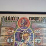 Original esoteric poster "Micro Cosmus" by Giovanni Tavaglione 1982