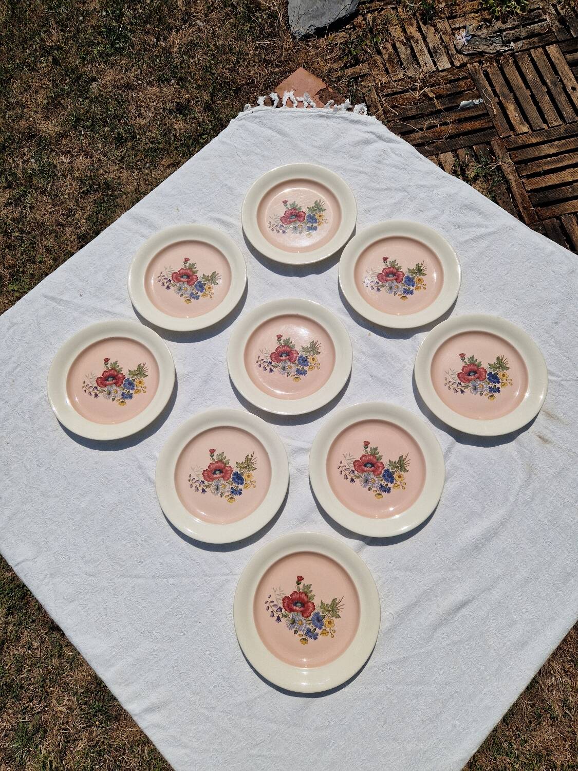 9 villeroy et boch porcelain dinner plates model 1584 25 cm