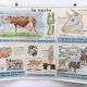 Affiche scolaire thème la vache / le chat