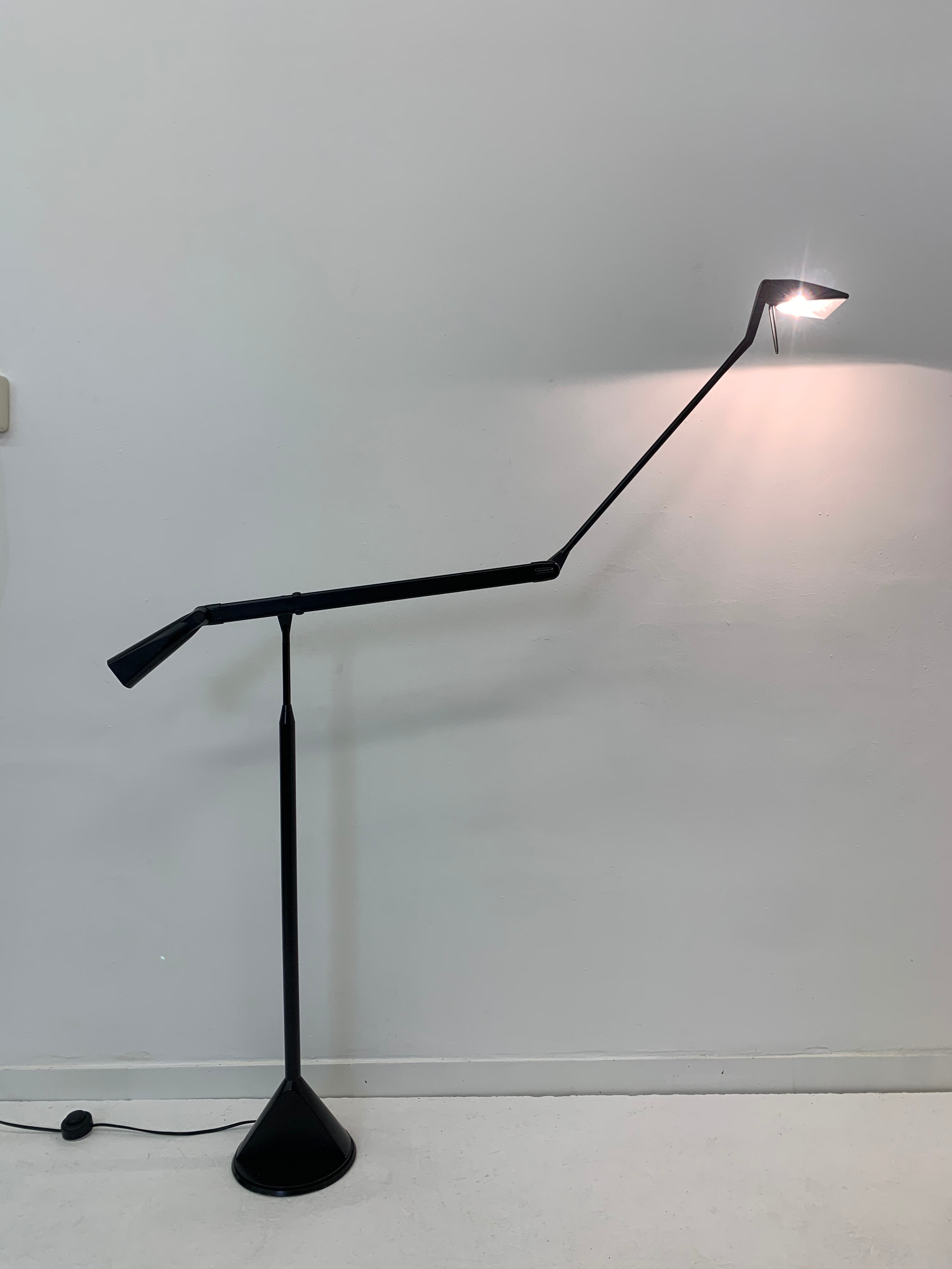 Zelig Terra Floor Lamp by Walter Monici for Lumina, 1980s