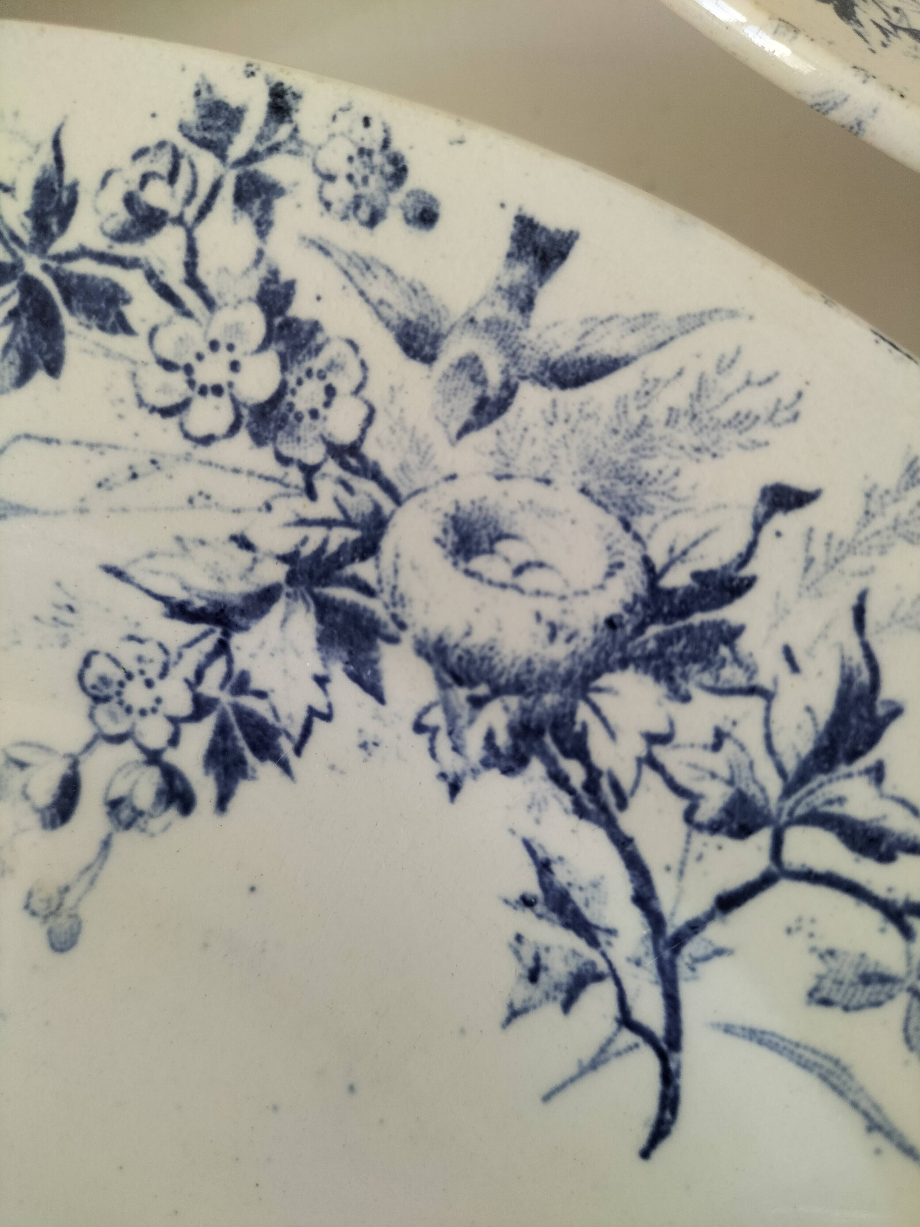 Creil Montereau Plates Linotte Model