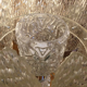 Paire de lampes