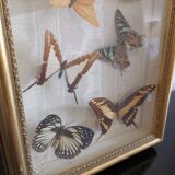 Butterfly frame
