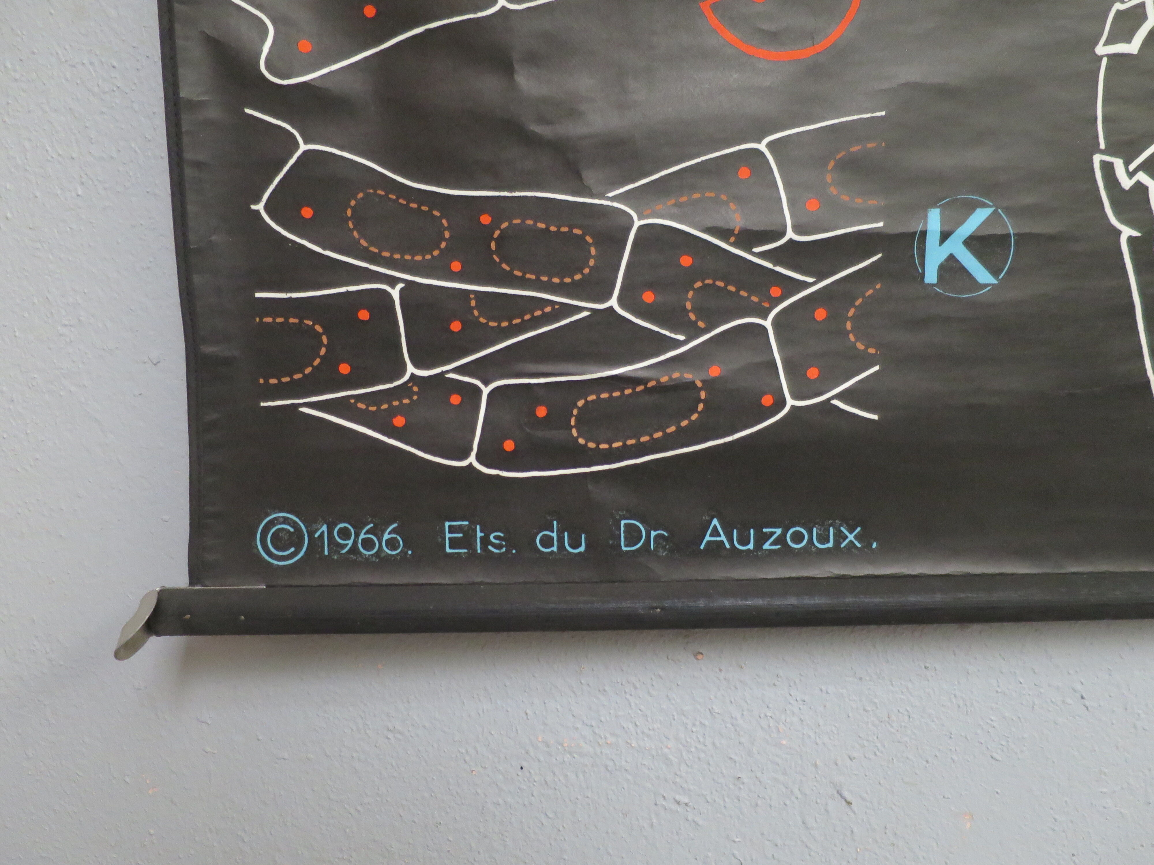 Vintage poster Dr Audoux mushroom theme