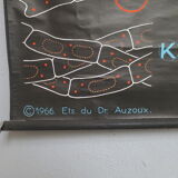 Vintage poster Dr Audoux mushroom theme