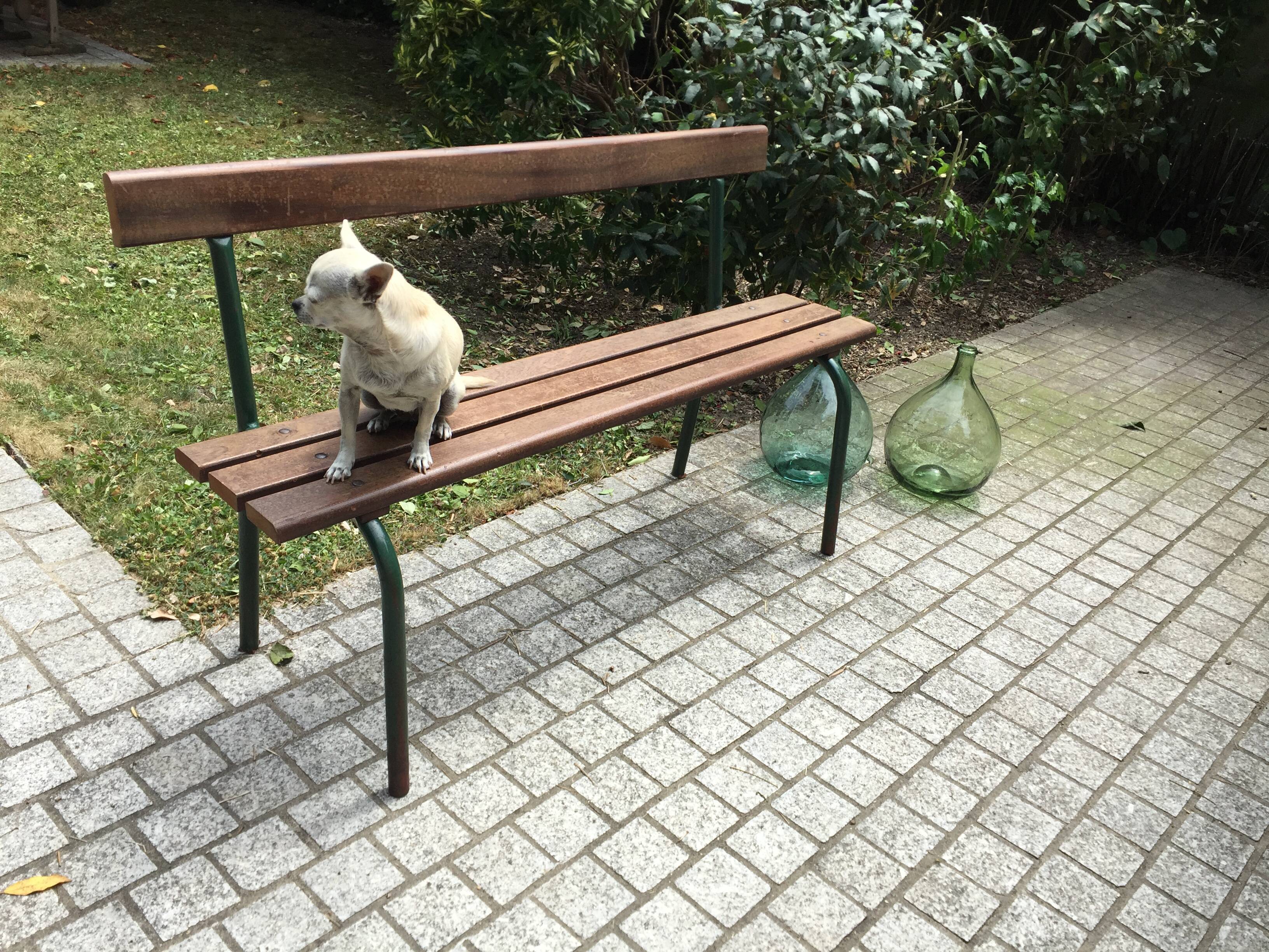 School bench with backrest